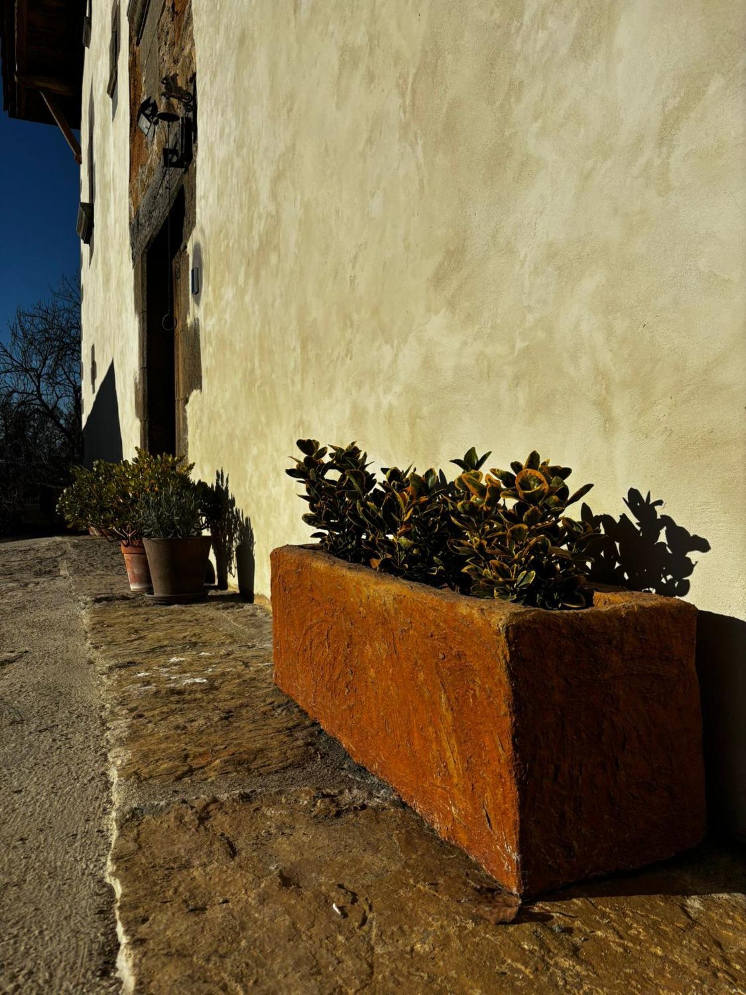 Casa Rural Mas Arimany Cantonigros Eksteriør billede